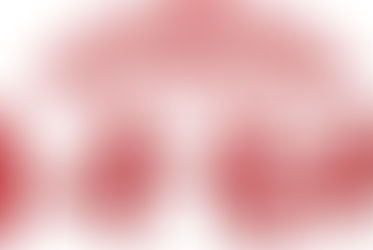 天龙驾校 捷报频传 择校英明 “小年”贺礼