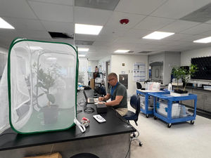 An environmental alternative to chemical crop protection: BEETLESS smart traps undergoing trials in Florida