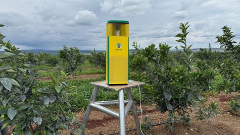 From startup to scale-up: BEETLESS will present its own approach to the eco-friendly control of pests as part of the Ukrainian Pavilion at CES 2026 