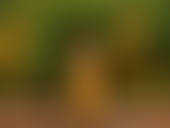 BEETLESS: a technological alternative to the chemical model of agricultural production