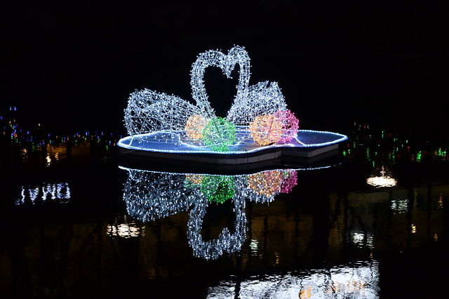 led lights on taebaek mountain