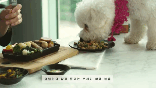 Pic 4. Happy Meal Time Together with Your Best Friend !