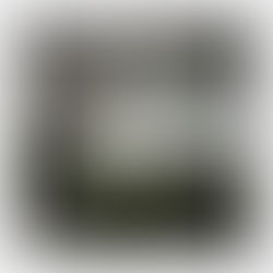 Review: "outcast" - Alma Owren