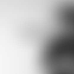 Review: "When You Fall" - Brook Fox