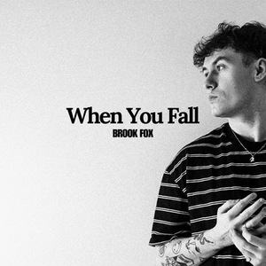 Review: "When You Fall" - Brook Fox