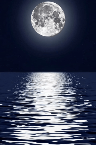 20250612_2003_Serene Moonlit Pathway_simple_compose_01jxjmzechfa58g4dhtsx3s4z5.gif
