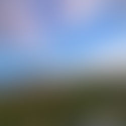 Teil 3: Der Timeline-Bruch um 2027 und was das mit Herz und Solarplexus zu tun hat