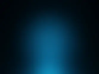 11. Singularität und freier Wille: Ein metaphysisches Veto