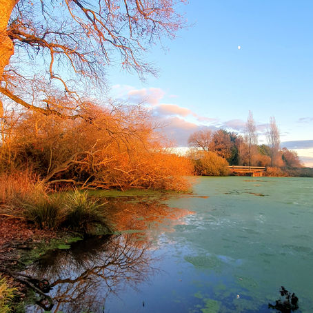 Teil 4 Warum Atmen der Schlüssel des Übergangs ist: Die Rückkehr der eigenen Sonne