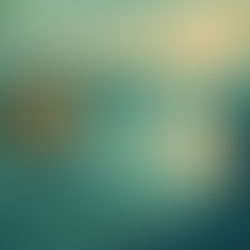 Searched for a Gong Bath… and found something deeper