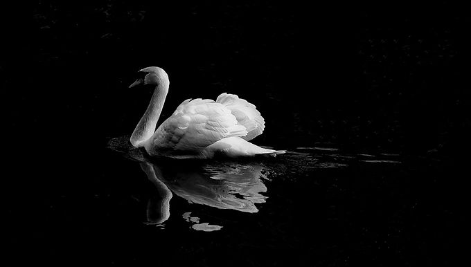 Grey Swan Atelier #2: Here to Stay or Going Away in Future Post-Pandemic