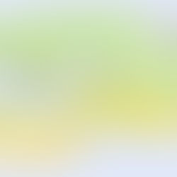 If you could live anywhere in the World, where would you go?