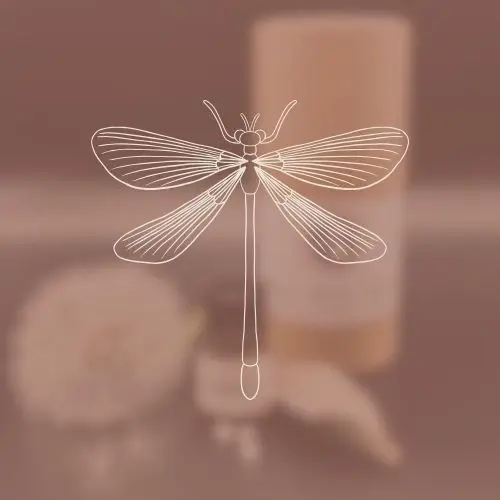 stillisiertes Bild einer Libelle als spirituelles Symbolbild für die schamanischen Globuli Odonata