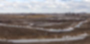 pic for website.jpeg