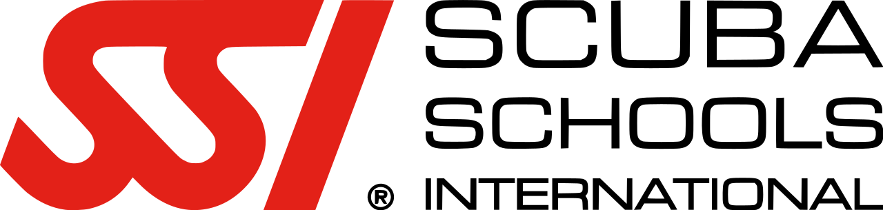 Logo SSI