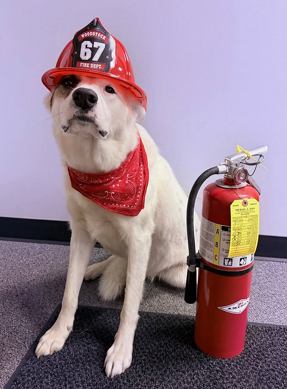 Screenshot 2025-12-10 at 1.15.34 PM.png