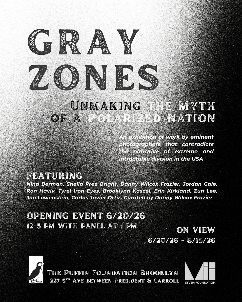Gray Zones Exhibition Opening