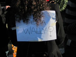 wally (4).jpg