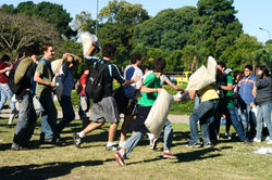 guerra almohadas (4).jpg