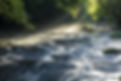 AdobeStock_302108588.jpeg