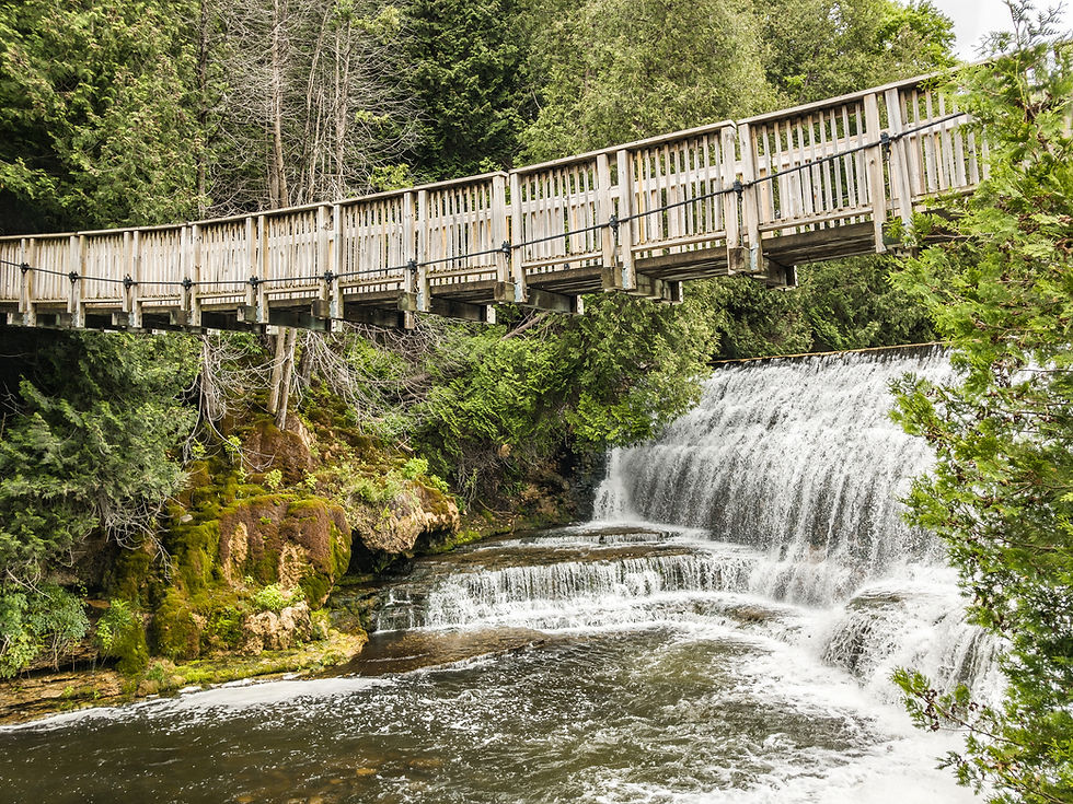 AdobeStock_229973049.jpeg
