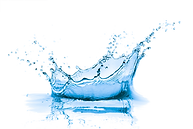 splash 10 transparent.png