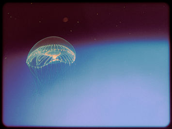 February 25, 2023      (1 of 1).jpg