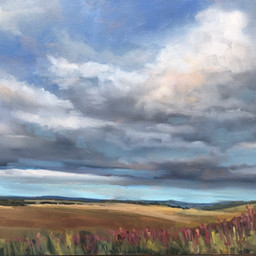 foxgloves scotland pentland landscape clouds