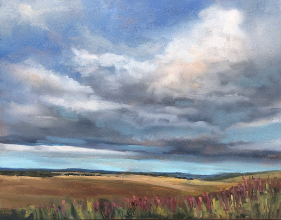 foxgloves scotland pentland landscape clouds