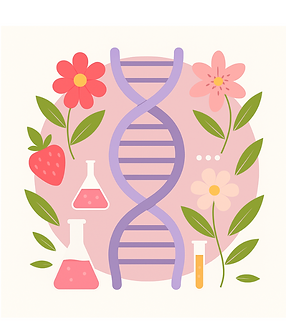 Design ohne Titel (20).png