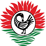 download (1).png