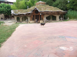 Construction d'une école écologique