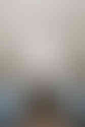 the wayback in austin texas