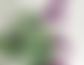 a brand new week . . .