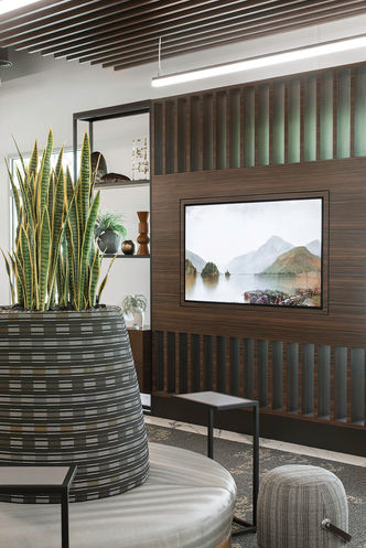 AAIS_Christopher Kennedy _ Midcentury Made Modern _ Interior Design 24.jpg