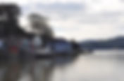 Tomales Bay
