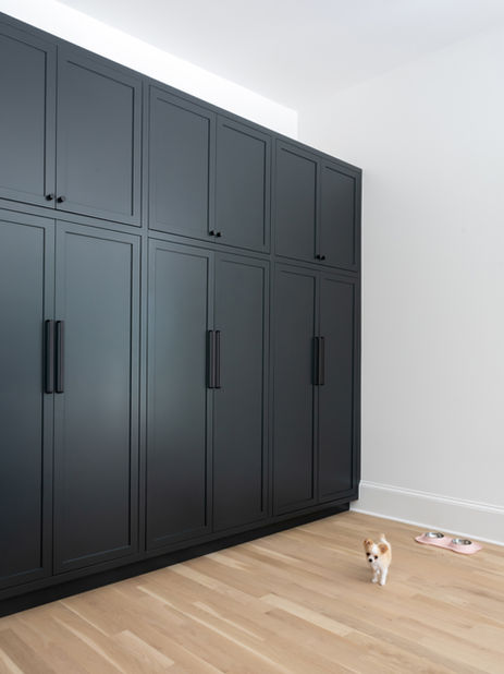 Minimalist room with floor-to-ceiling matte black wardrobes and light wood flooring