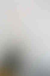 the wayback in austin texas