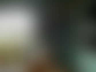 Bold Color & Family Comfort