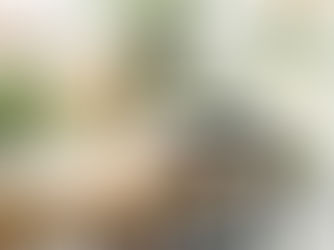 Trailer: Welcome to The Interior Collective