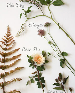 Blooms in Season: July