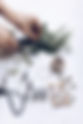 Lifestyle: DIY Holiday Smudge Sticks