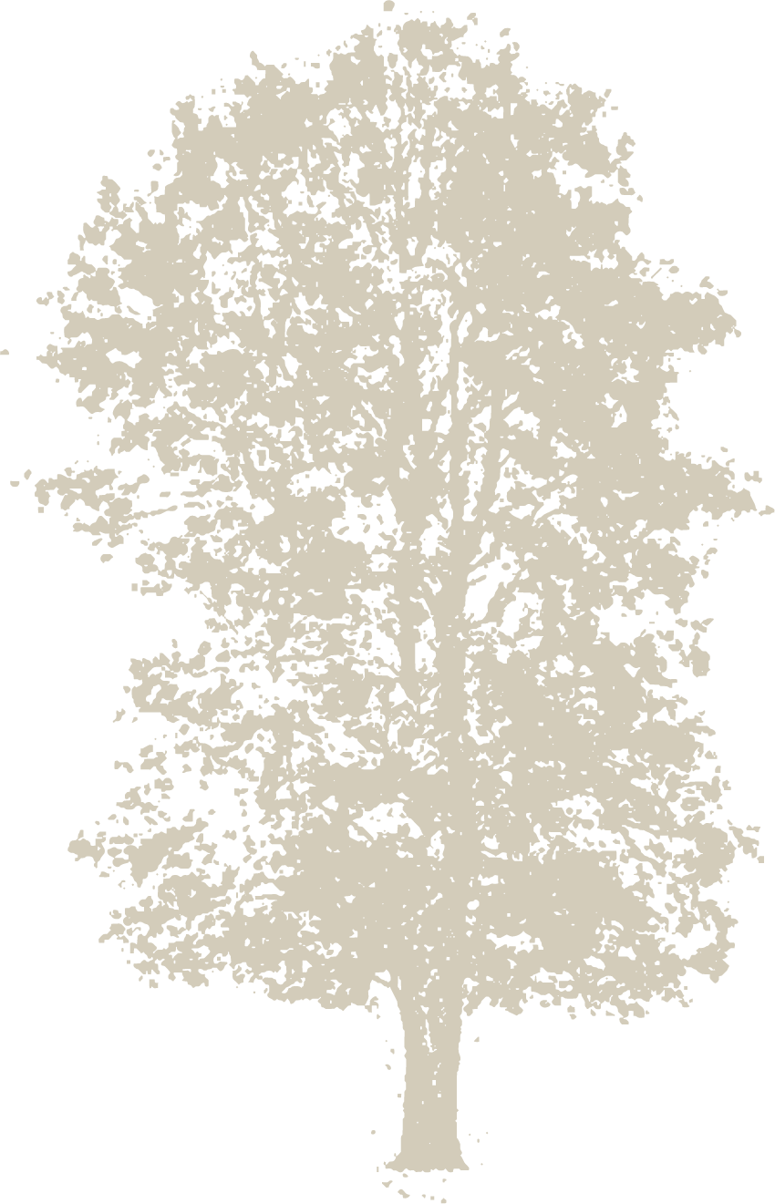 04_tree_4x (2).png