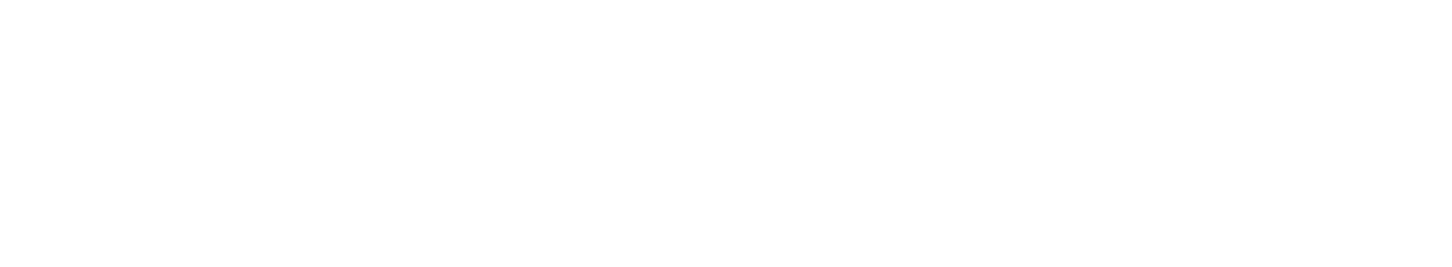 06 - Wordmark 1 White.png