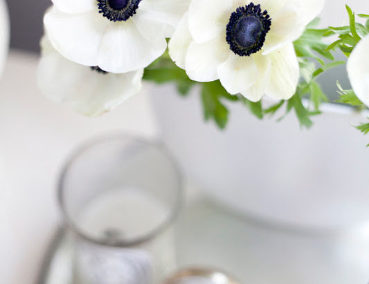 a brand new week . . .