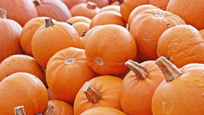 Arizona’s Fall Festivals