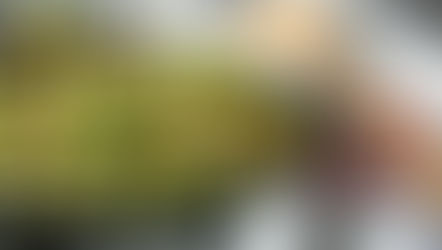 Roasted Brussels Sprouts With Garlic