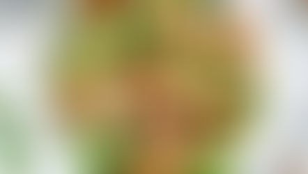 Citrus Shrimp Avocado Salad Recipe