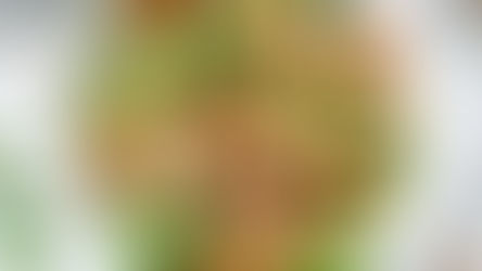 Citrus Shrimp Avocado Salad Recipe