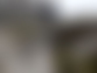 Groeien gaat met klimmen, vallen én weer opstaan